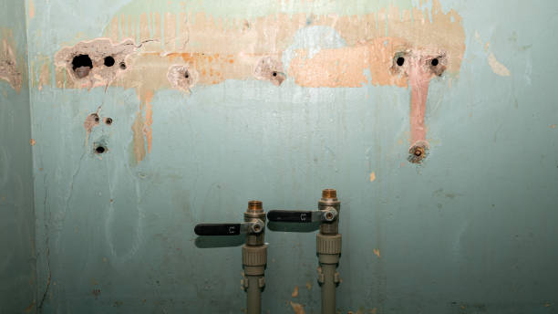 Professional Water damage restoration in Inver Grove Heights, MN
