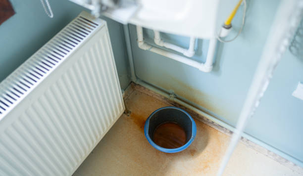 Best Basement water damage restoration  in Inver Grove Heights, MN