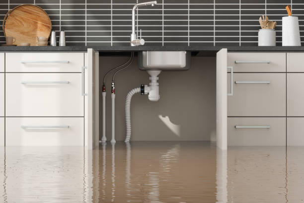 Carpet water damage restoration in Inver Grove Heights, MN