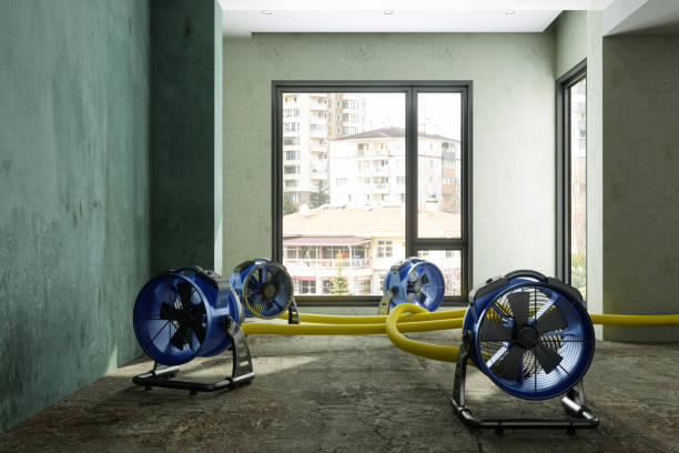 Best Carpet water damage restoration  in Inver Grove Heights, MN