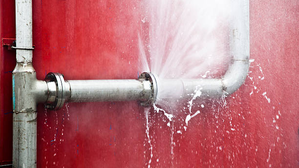 Best Flood restoration services  in Inver Grove Heights, MN