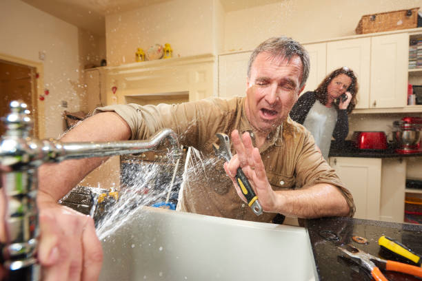 Best Local water damage restoration  in Inver Grove Heights, MN